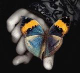 hell_butterfly